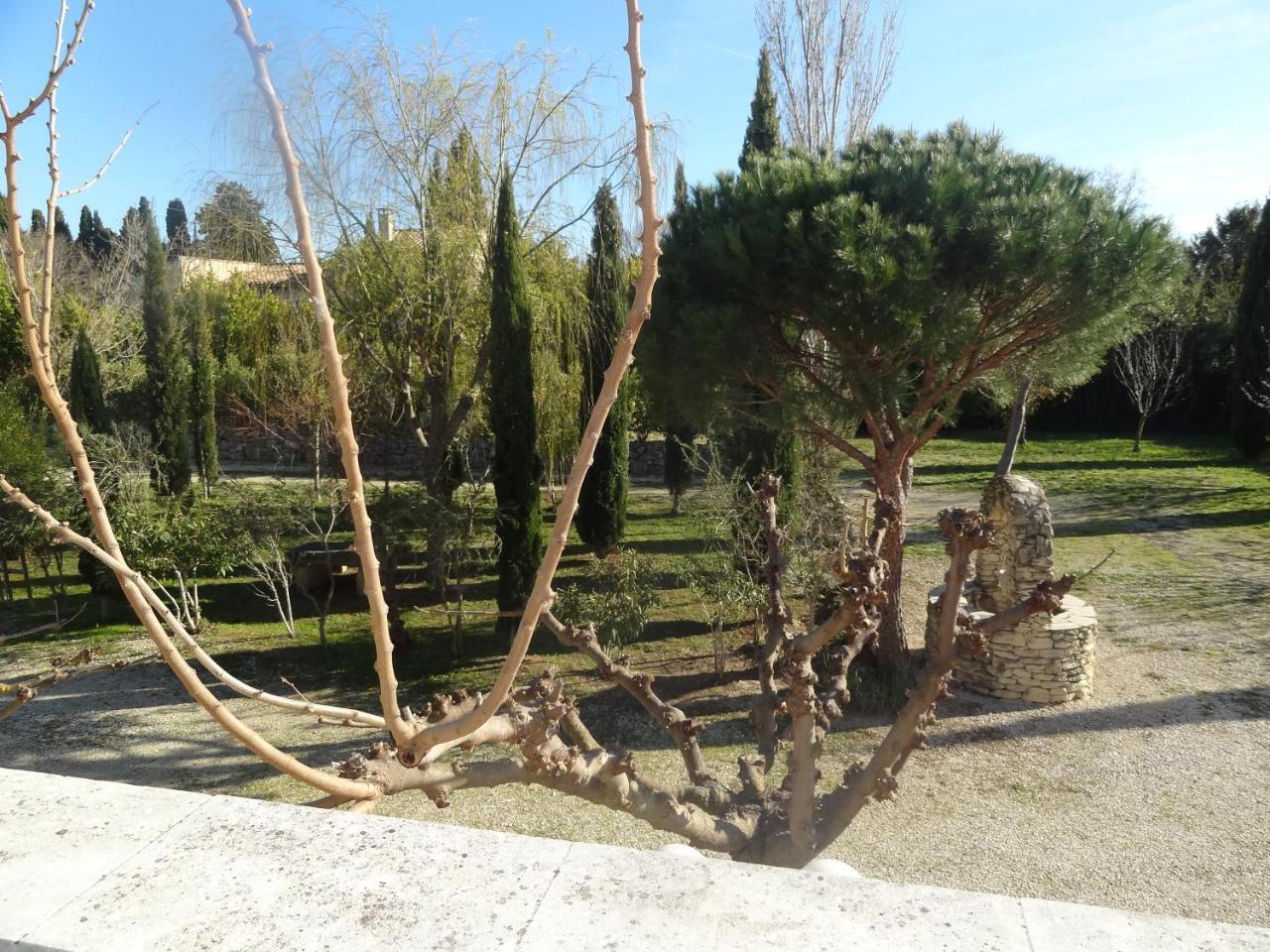 Apartament Locations Des Alpilles Saint-Rémy-de-Provence Zewnętrze zdjęcie